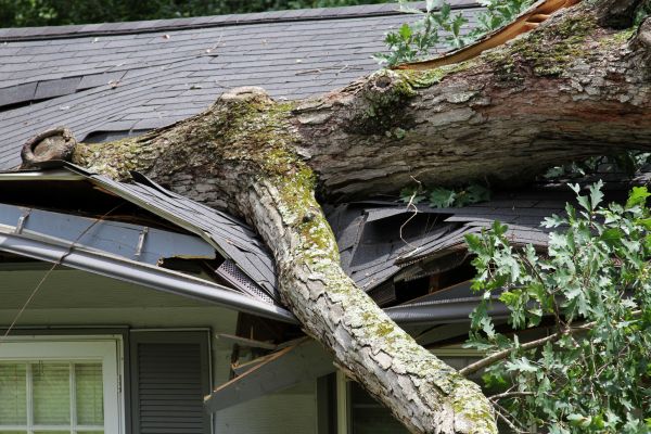 Storm Remediation in Missouri City