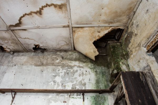 Water Damage Service in Missouri City