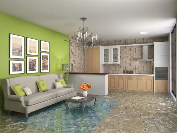 Wet Carpet Drying in Missouri City