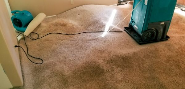 Flood Damage Cleanup in Missouri City