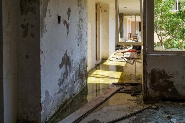 Water Removal Service in Missouri City